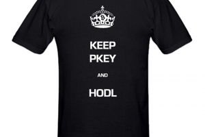 keep-pk-and-hodl-bitcoin_700px