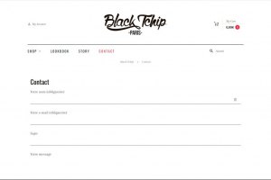 blacktchip_webdesign_Youldesign_05